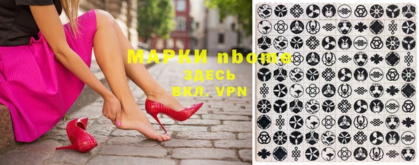 индика Белокуриха