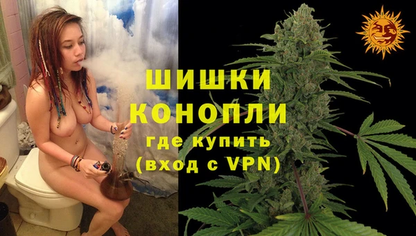 индика Белокуриха
