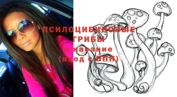 индика Белокуриха