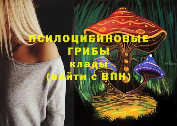 COCAINE Богородск