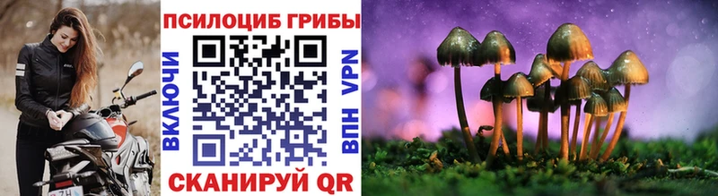 Галлюциногенные грибы Psilocybe  Сковородино 